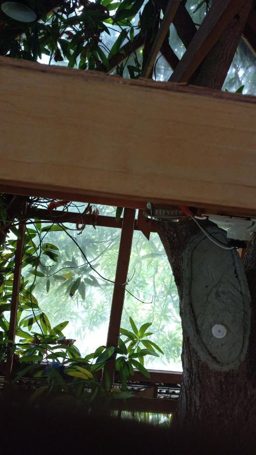 Treehouse Above The Beach Port Antonio Exterior photo