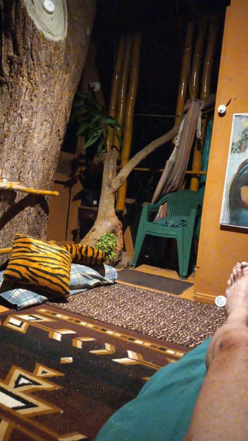 Treehouse Above The Beach Port Antonio Exterior photo