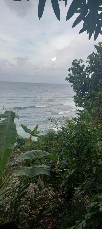 Treehouse Above The Beach Port Antonio Exterior photo
