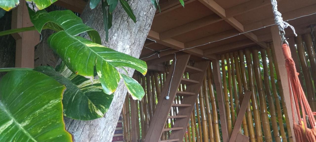 Treehouse Above The Beach Port Antonio Exterior photo