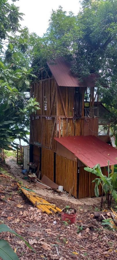 Treehouse Above The Beach Port Antonio Exterior photo