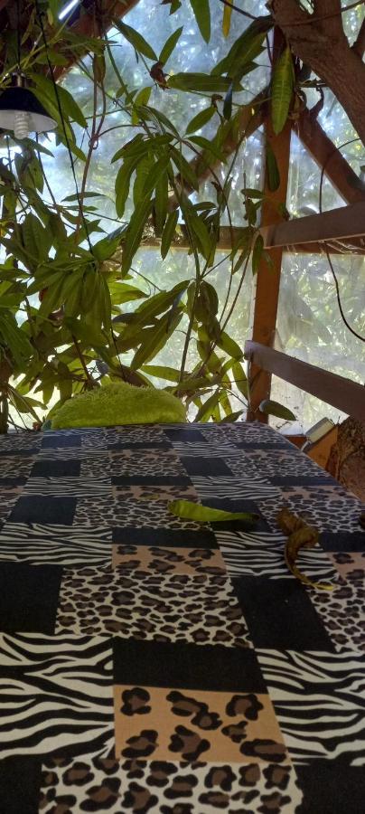 Treehouse Above The Beach Port Antonio Exterior photo