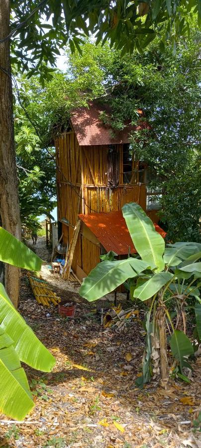 Treehouse Above The Beach Port Antonio Exterior photo