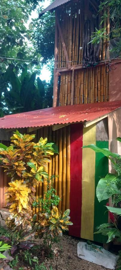 Treehouse Above The Beach Port Antonio Exterior photo