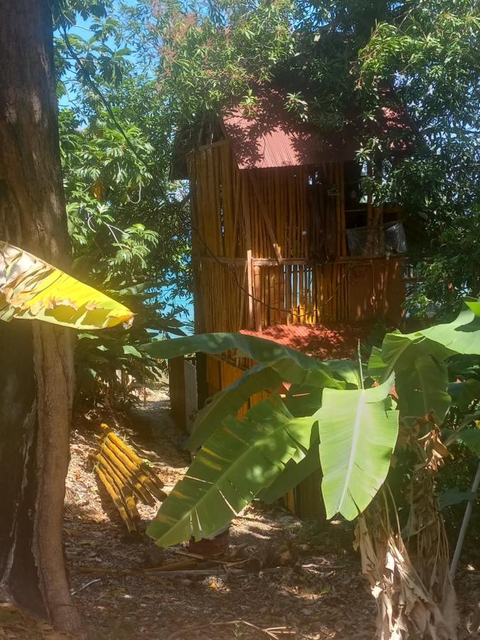 Treehouse Above The Beach Port Antonio Exterior photo
