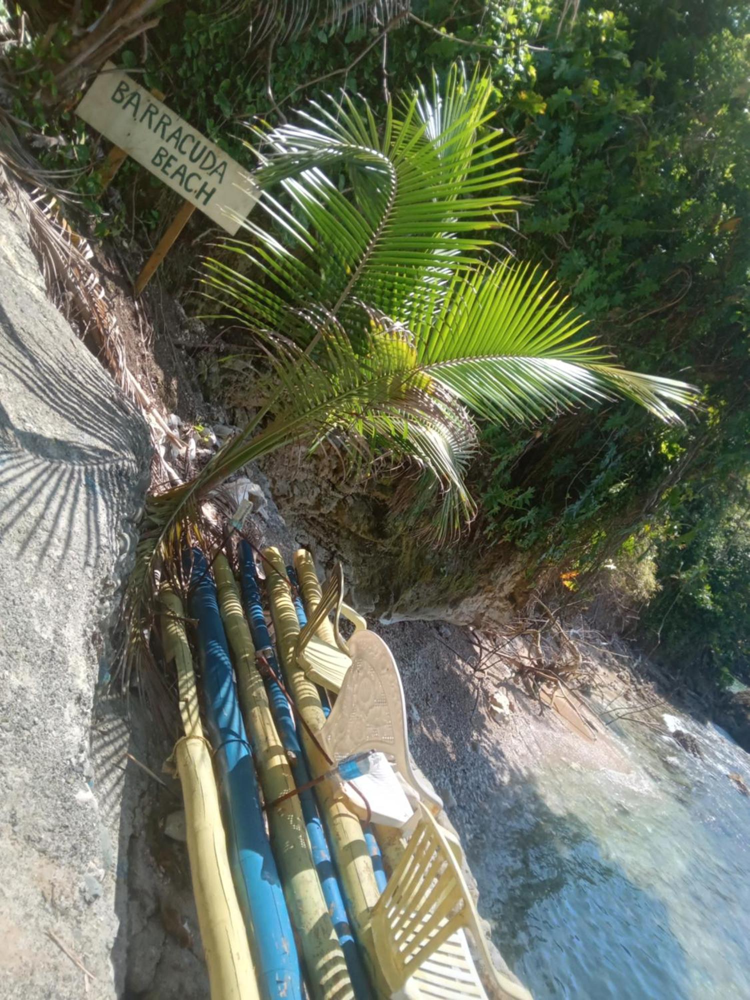 Treehouse Above The Beach Port Antonio Exterior photo